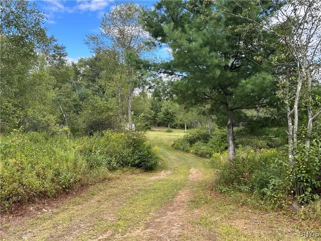 $225,000 | 1406 Gray-Wilmurt Road, Ohio, NY 13324