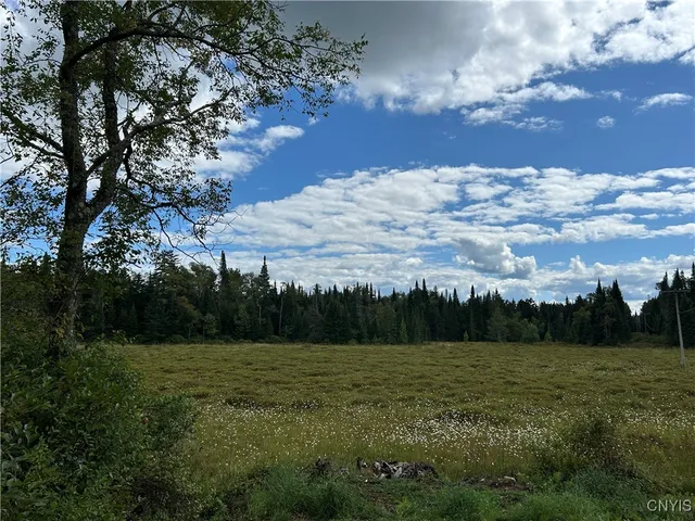 $225,000 | 1406 Gray-Wilmurt Road, Ohio, NY 13324