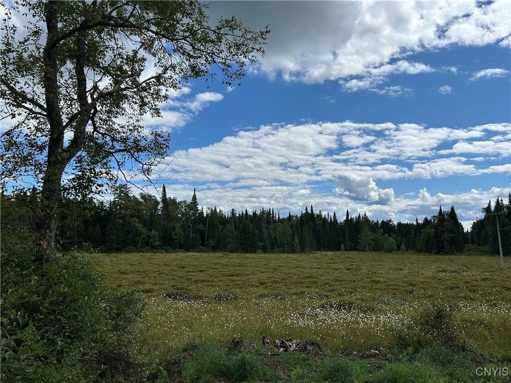 1406 Gray-Wilmurt Road Ohio, NY 13324 - Photo 9 of 9