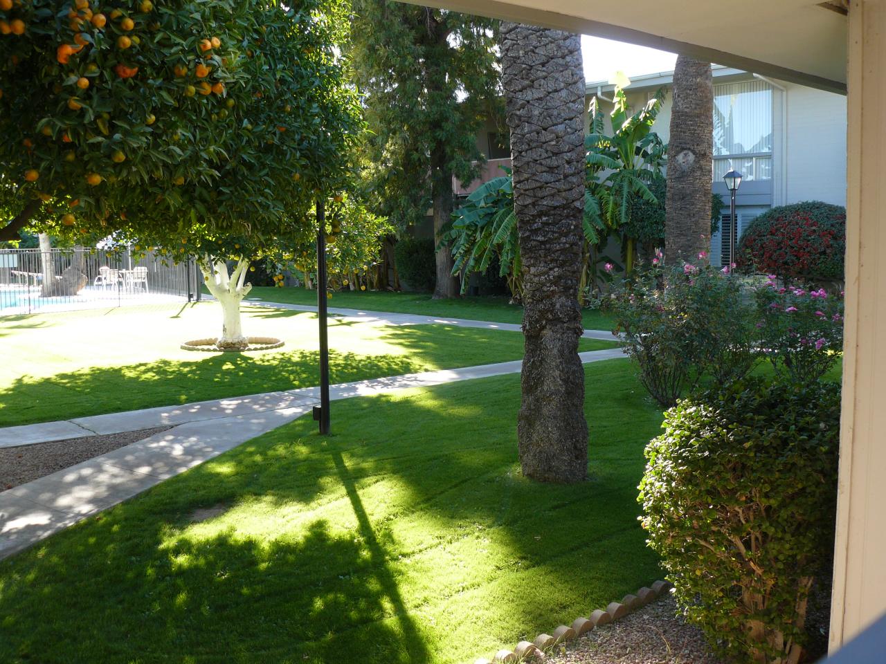 3296 East Camelback Road Phoenix, AZ 85018 - Photo 3 of 4 Courtyard