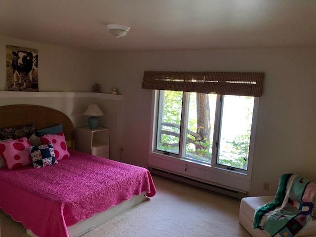 3184 West Lake Road Wells, VT 05774 - Photo 11 of 21 Gallery Image 11