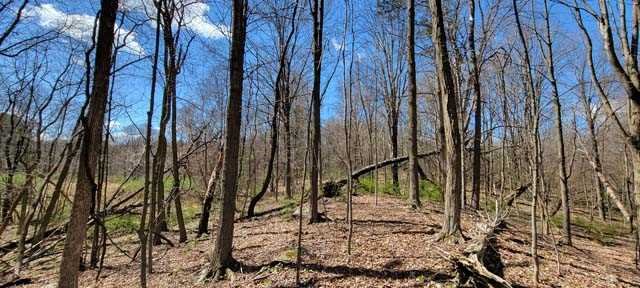 168 Williams Road Red Hook, NY 12571 - Photo 11 of 13 a view of a yard
