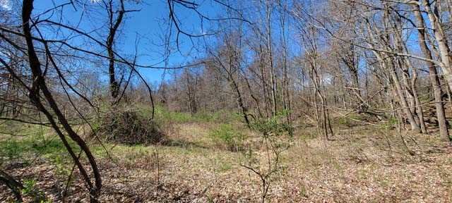 168 Williams Road Red Hook, NY 12571 - Photo 3 of 13 a backyard of a house with lots of plants and wooden cabinets