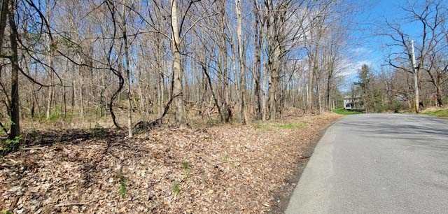168 Williams Road Red Hook, NY 12571 - Photo 5 of 13 a view of backyard of house