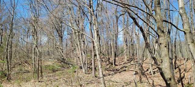 168 Williams Road Red Hook, NY 12571 - Photo 6 of 13 a view of covered with snow