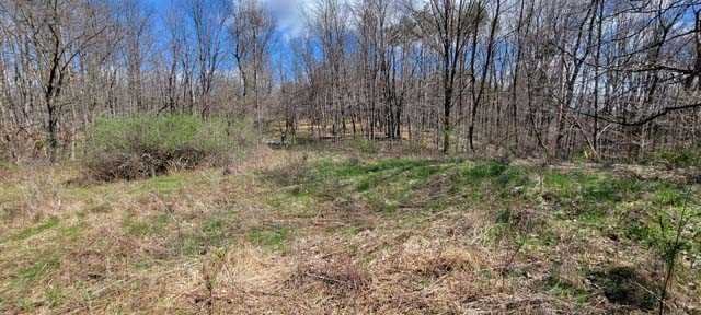 168 Williams Road Red Hook, NY 12571 - Photo 7 of 13 a view of outdoor space and green space