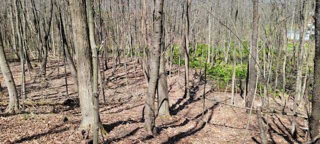 168 Williams Road Red Hook, NY 12571 - Photo 8 of 13 a view of outdoor space with a garden