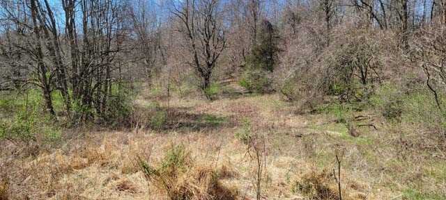 168 Williams Road Red Hook, NY 12571 - Photo 9 of 13 a view of a dry yard