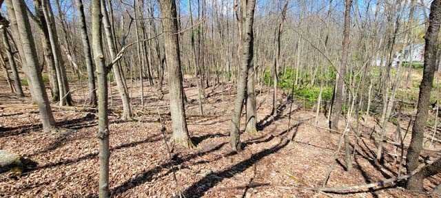 168 Williams Road Red Hook, NY 12571 - Photo 10 of 13 a view of covered with snow
