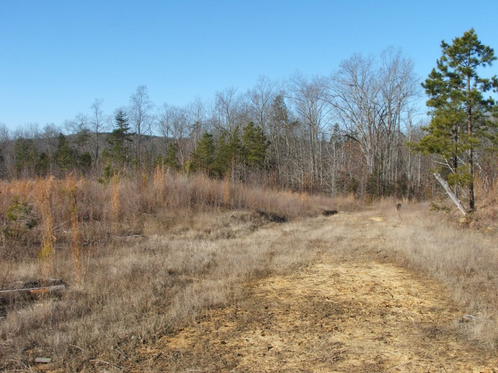 632 Schultz Mill Rd Green Meherrin, VA 23954 - Photo 11 of 17 Gallery Image 11