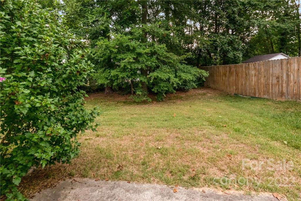 2800 Oneida Road Charlotte, NC 28269 - Photo 17 of 18 a view of a yard with a tree