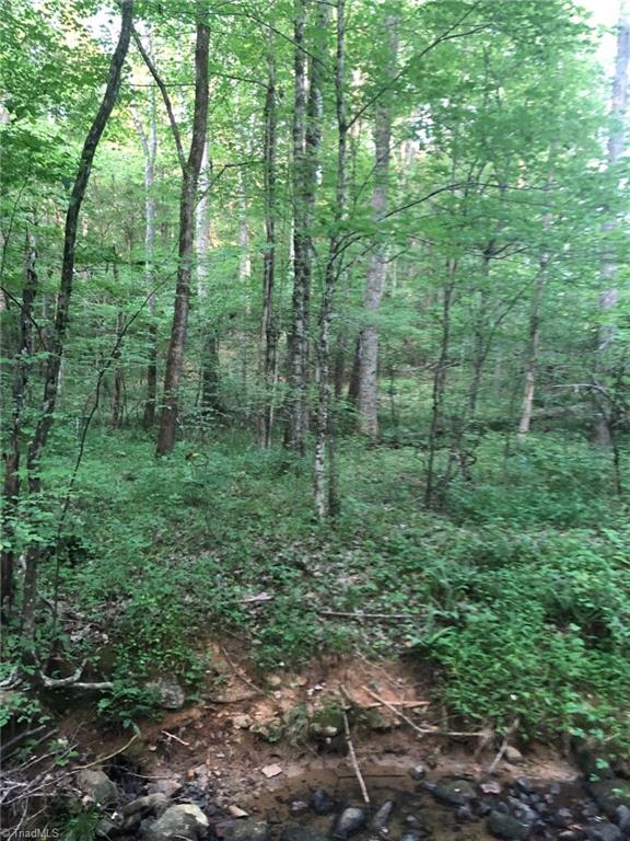 0 Homestead Road Trinity, NC 27370 - Photo 7 of 9 woods