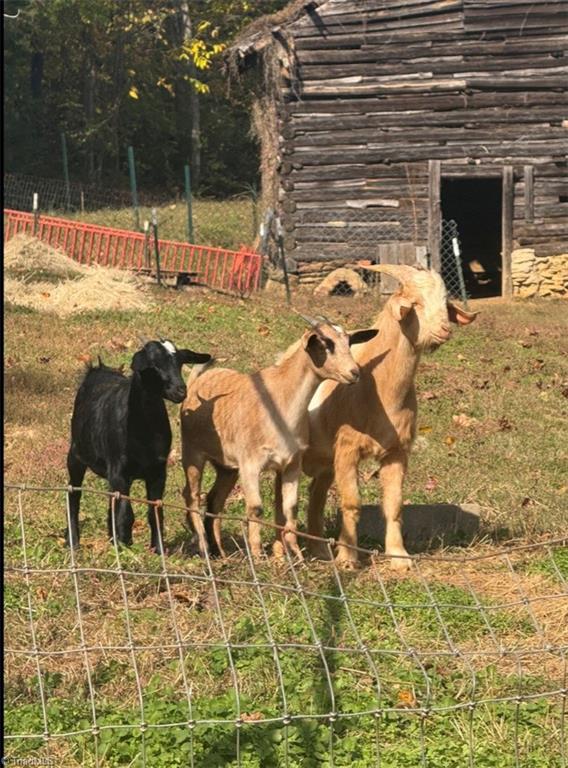 3110 Hall Road Franklinville, NC 27248 - Photo 5 of 9