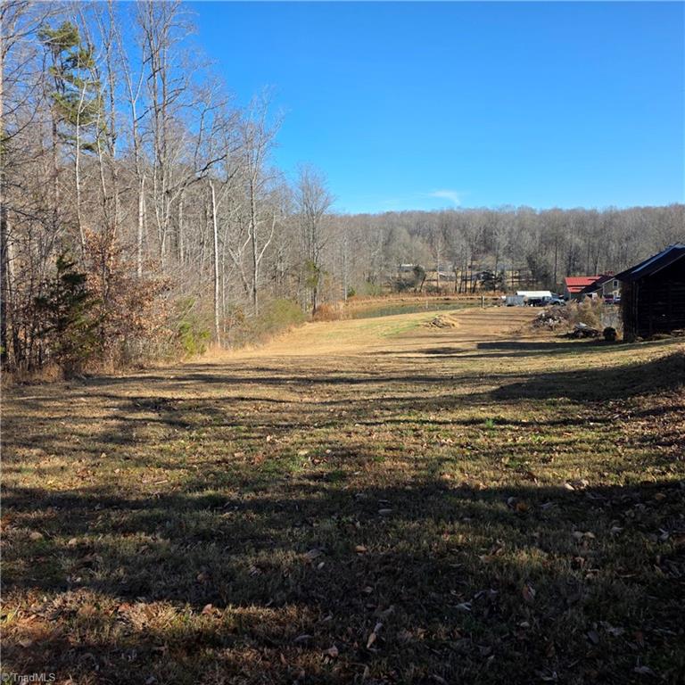 3110 Hall Road Franklinville, NC 27248 - Photo 8 of 9