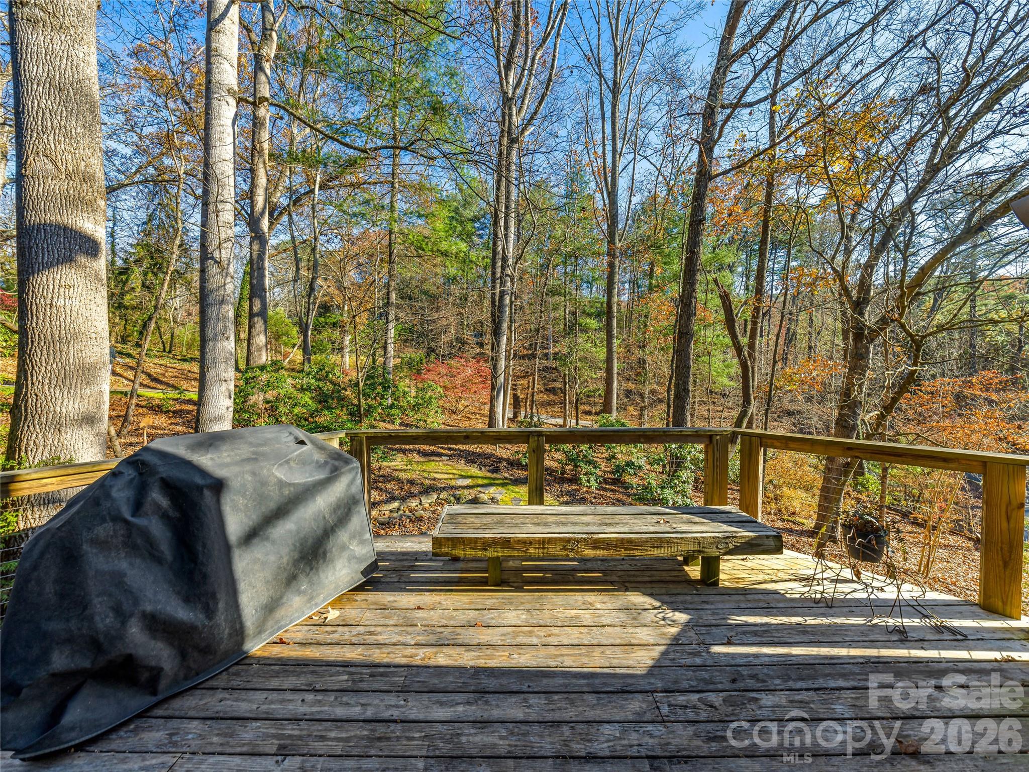 339 Beaverdam Road Asheville, NC 28804 - Photo 15 of 44
