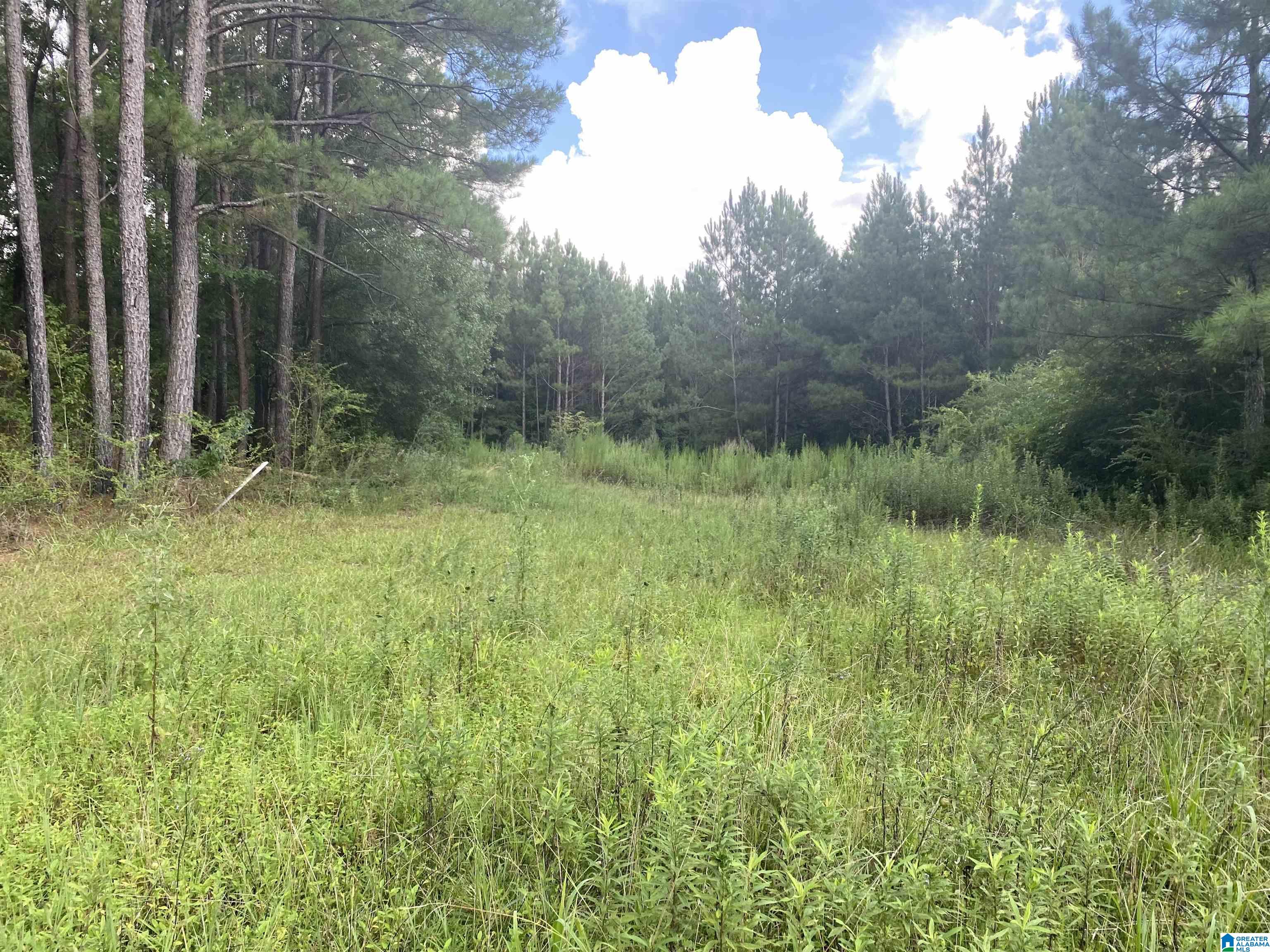 954 County Road 13, Unit 1 Cleveland, AL 35049 - Photo 18 of 19