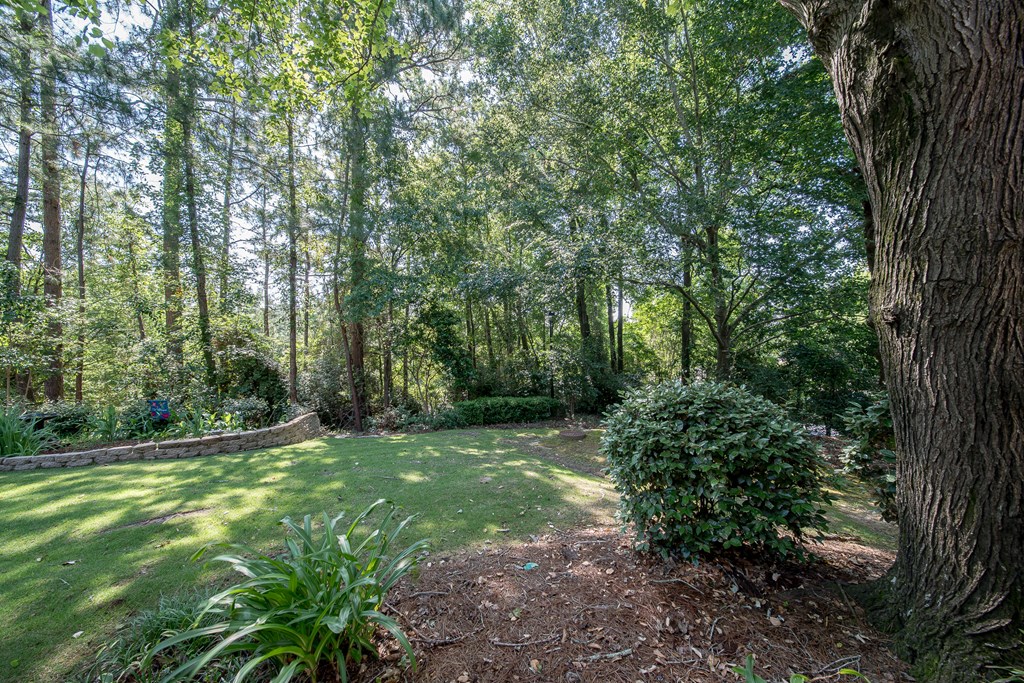 6101 River Road, Unit 42 Columbus, GA 31904 - Photo 24 of 28 a big yard with lots of green space and trees