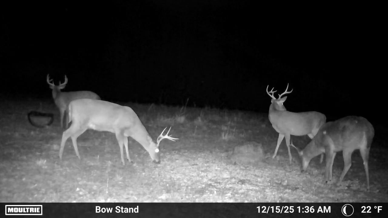 0 Cedar Cut Road Rutledge, AL 36071 - Photo 12 of 35 Gallery Image 12