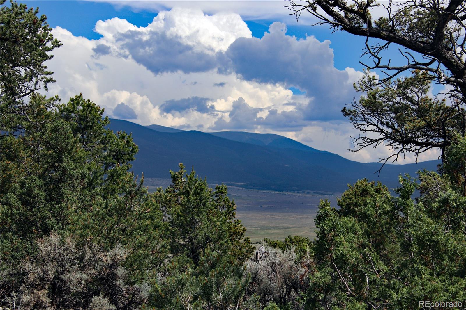 2252 White Tail Road, Unit 2 San Luis, CO 81152 - Photo 35 of 44 a view of a yard