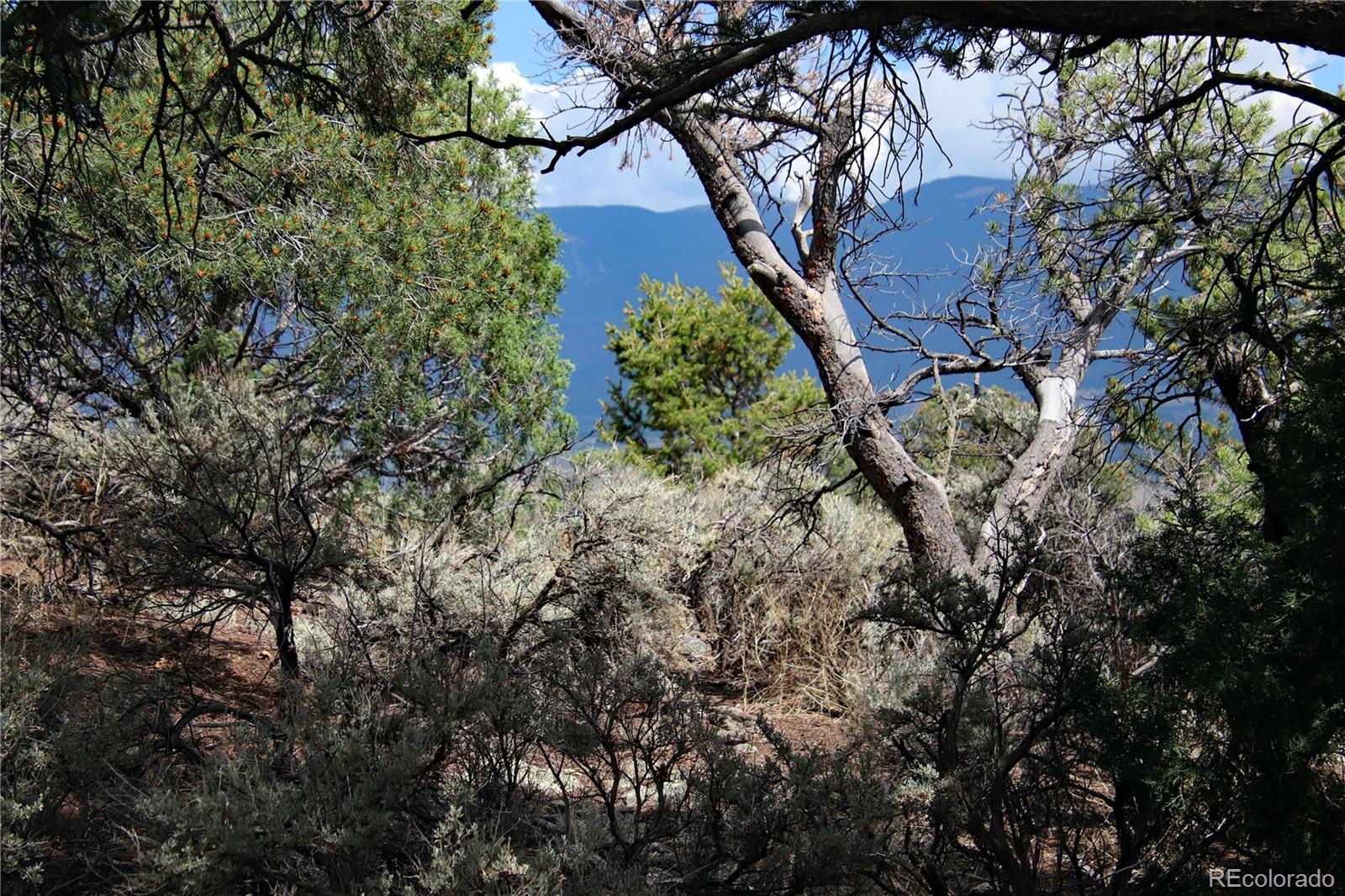 2252 White Tail Road, Unit 2 San Luis, CO 81152 - Photo 36 of 44 a backyard of a house with lots of green space