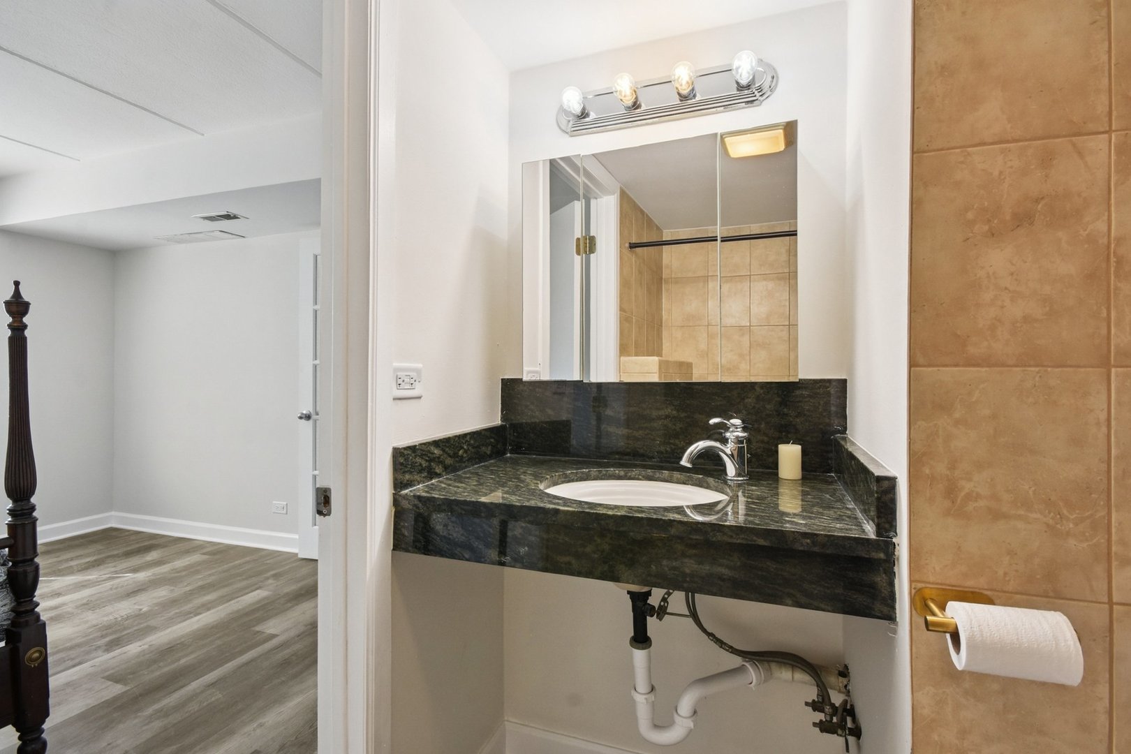 1751 South Washington Street, Unit 1 Naperville, IL 60565 - Photo 11 of 16 a bathroom with a sink and a mirror