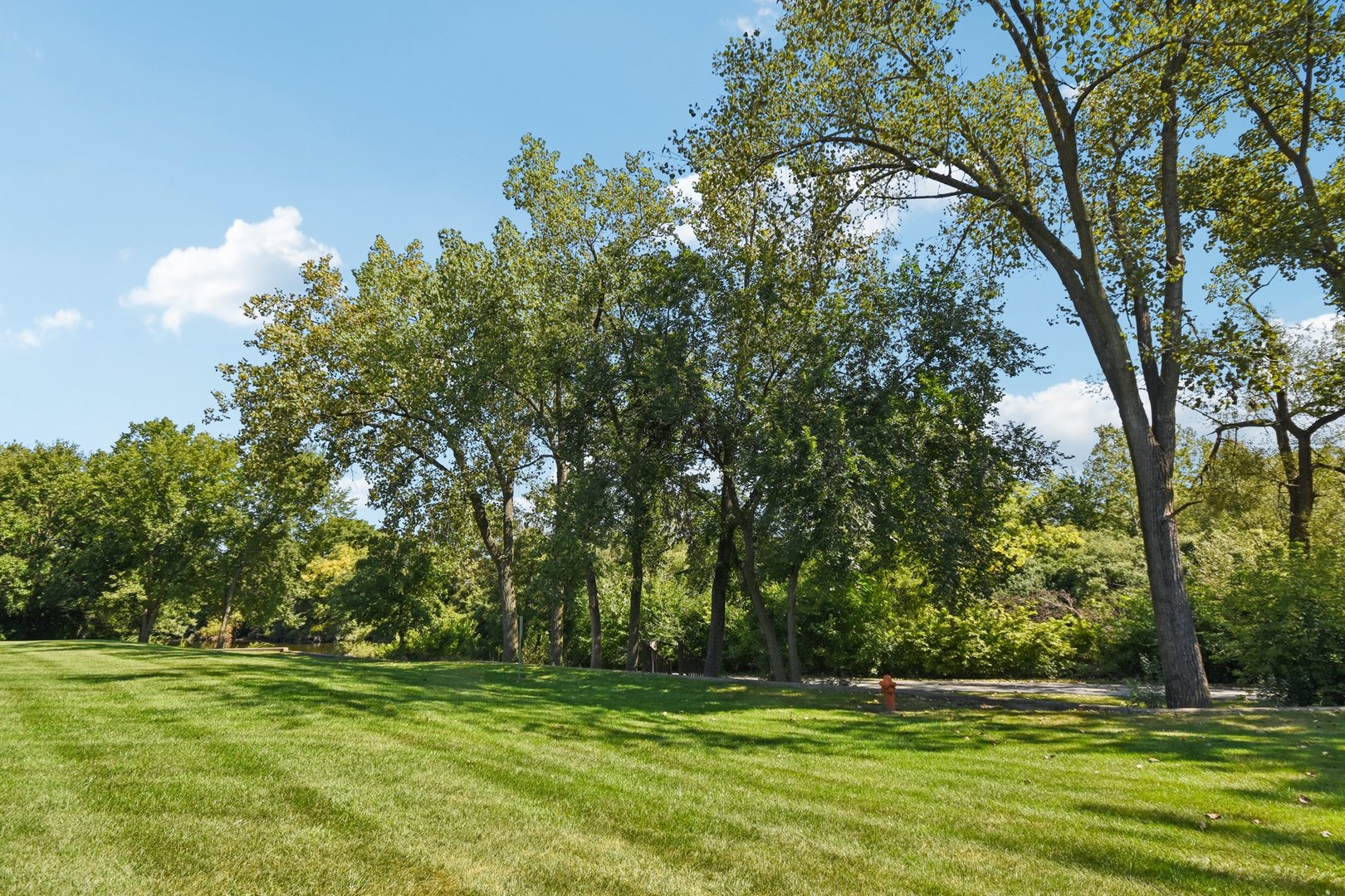 1751 South Washington Street, Unit 1 Naperville, IL 60565 - Photo 14 of 16 a yard with trees in the background