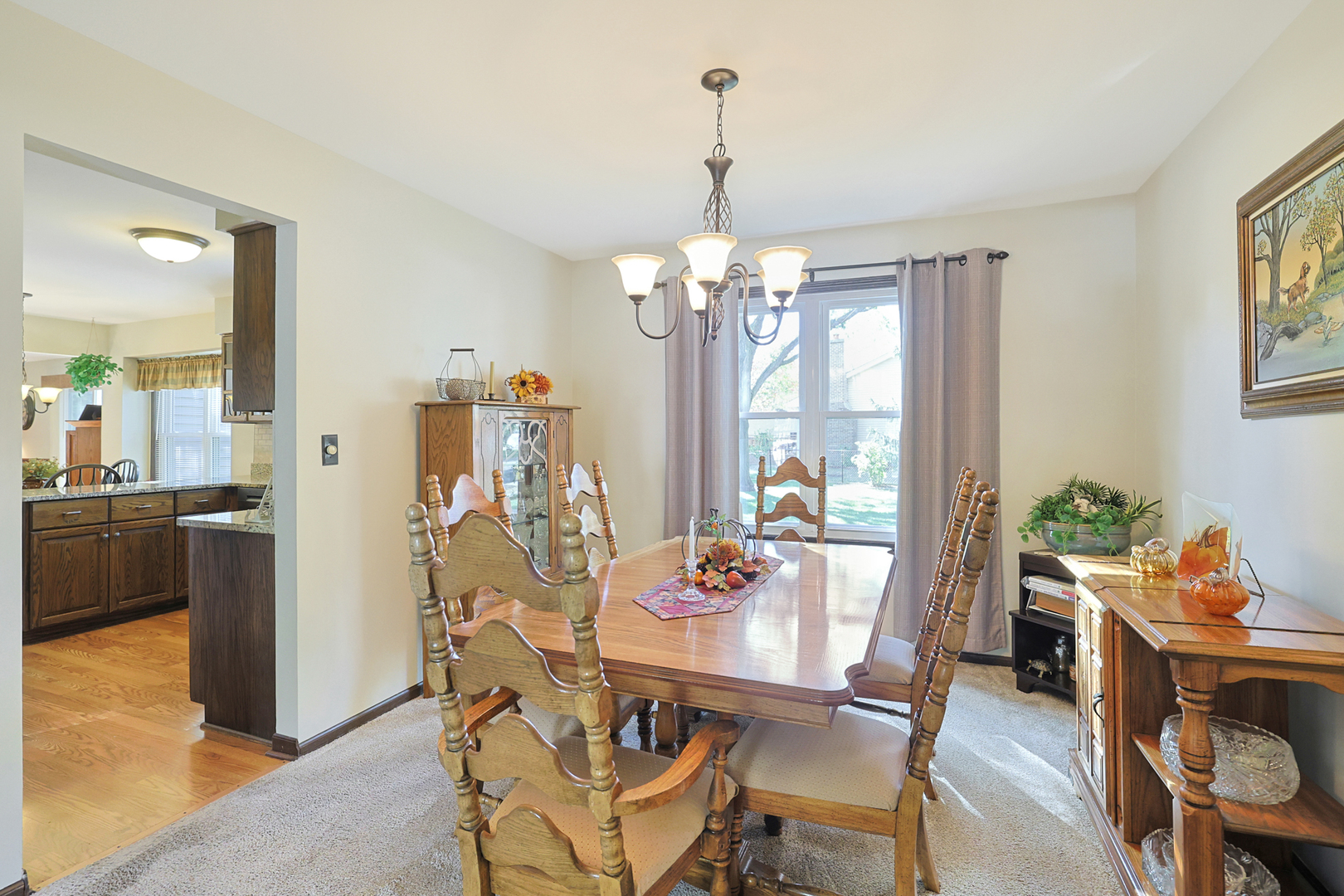 7232 Camden Road Downers Grove, IL 60516 - Photo 6 of 27 Gallery Image 6