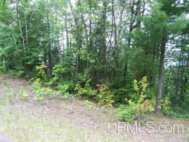 Five Mile Point Road Allouez, MI 49805 - Photo 9 of 18