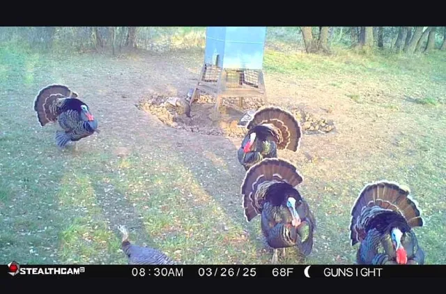 a view of a lake with houses in the back