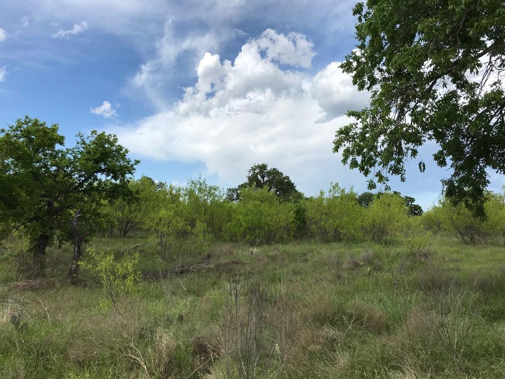 154 County Road 154 Cisco, TX 76437 - Photo 13 of 40 a view of a lot of trees
