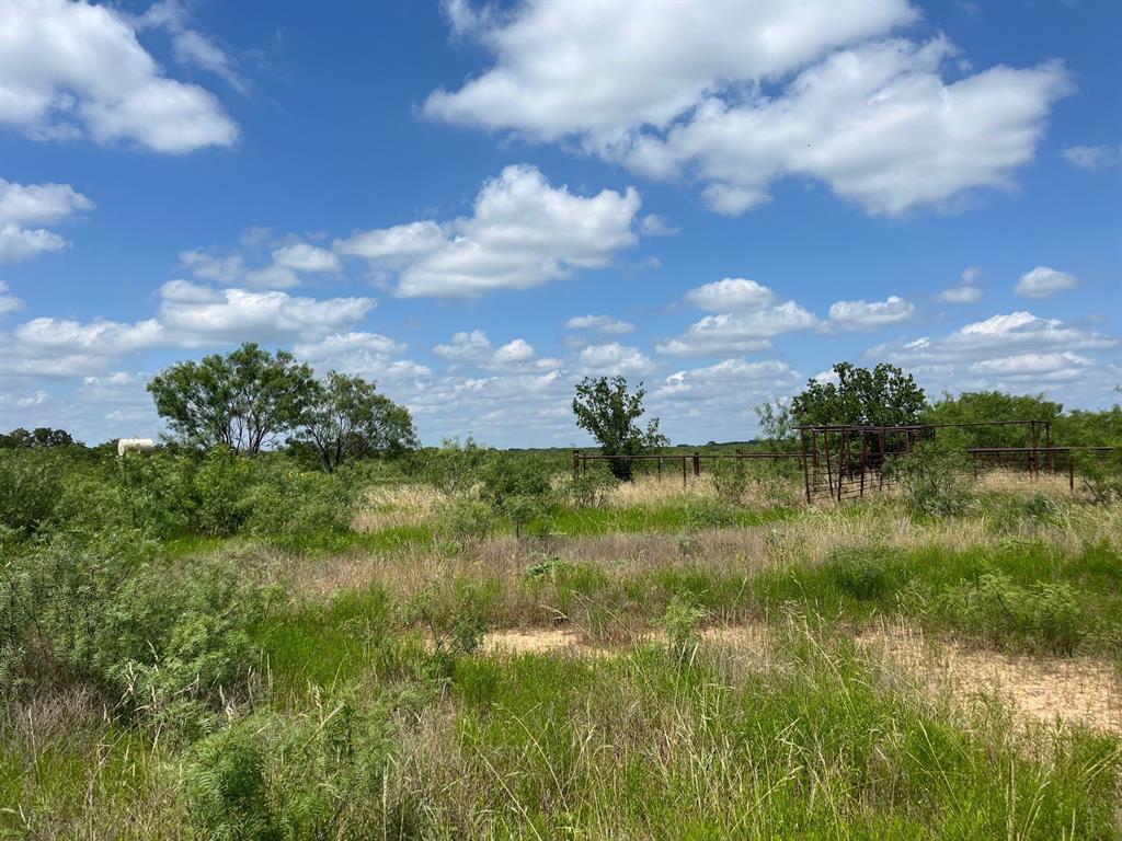 154 County Road 154 Cisco, TX 76437 - Photo 19 of 40 a view of a lake from a yard
