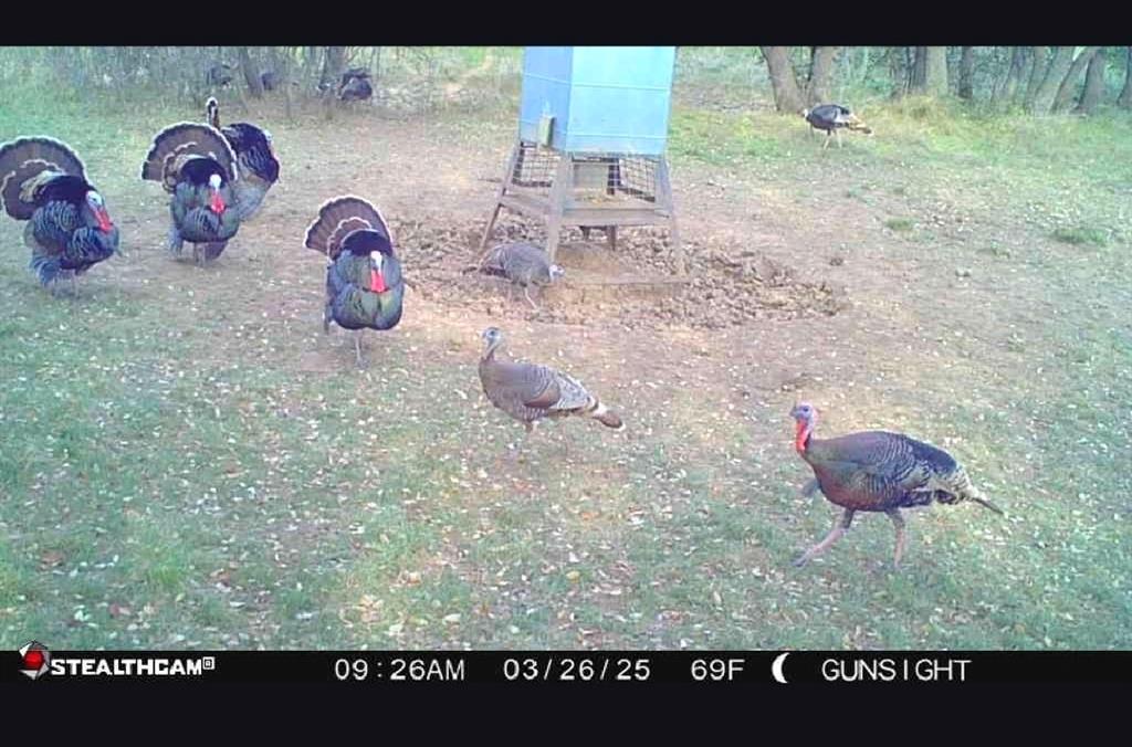 154 County Road 154 Cisco, TX 76437 - Photo 25 of 40 a view of a bunch of microwave