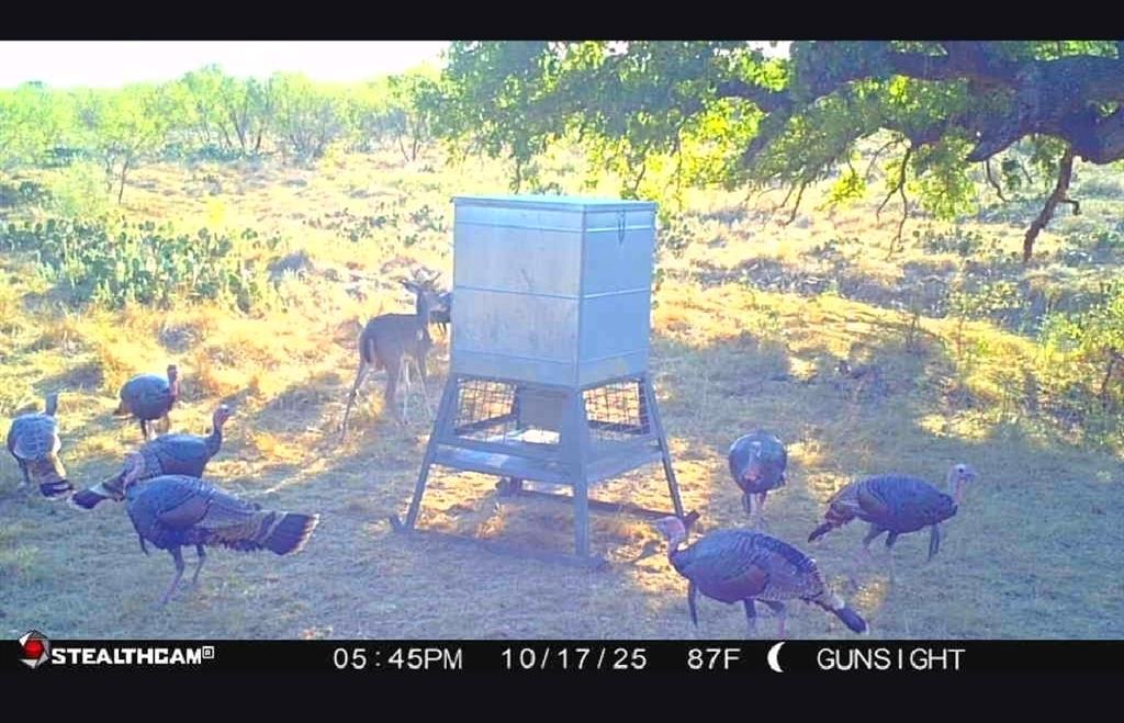 154 County Road 154 Cisco, TX 76437 - Photo 26 of 40 Exterior view