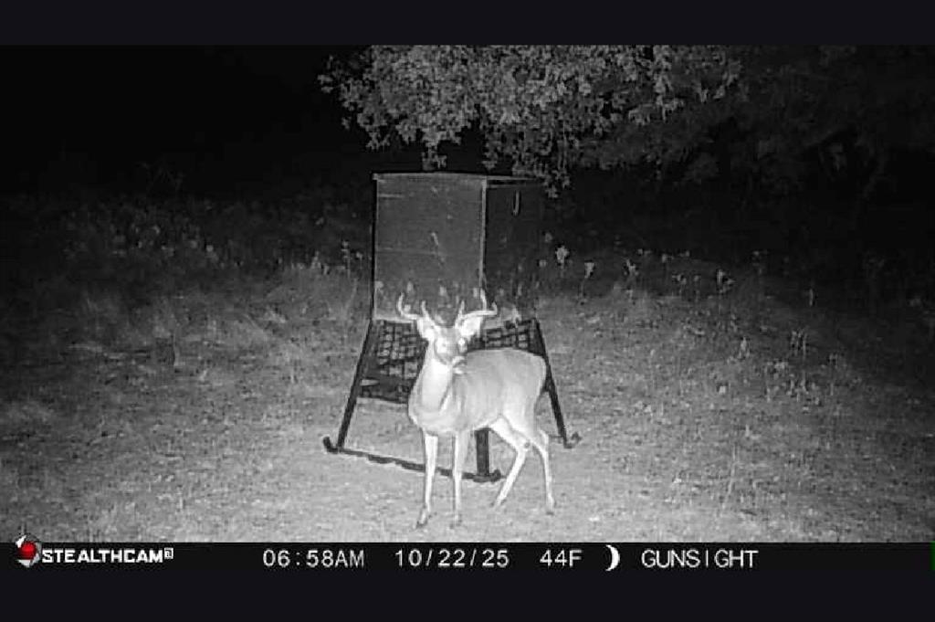 154 County Road 154 Cisco, TX 76437 - Photo 27 of 40 a black and white photo of a room