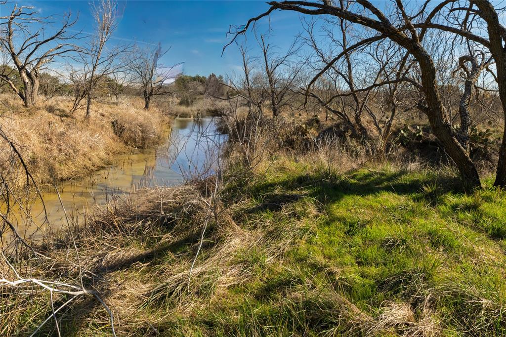 154 County Road 154 Cisco, TX 76437 - Photo 29 of 40 a view of a yard covered with trees