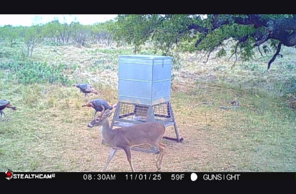 154 County Road 154 Cisco, TX 76437 - Photo 3 of 40 a bird view of a backyard