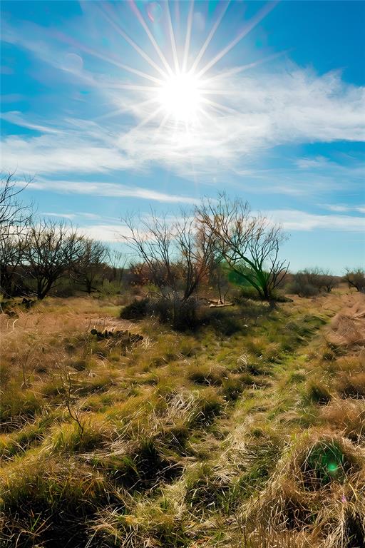 154 County Road 154 Cisco, TX 76437 - Photo 35 of 40 View of undeveloped land