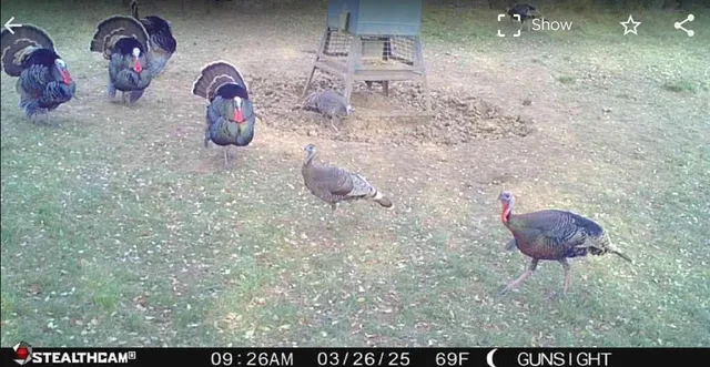 a view of a floor to ceiling window with a garden