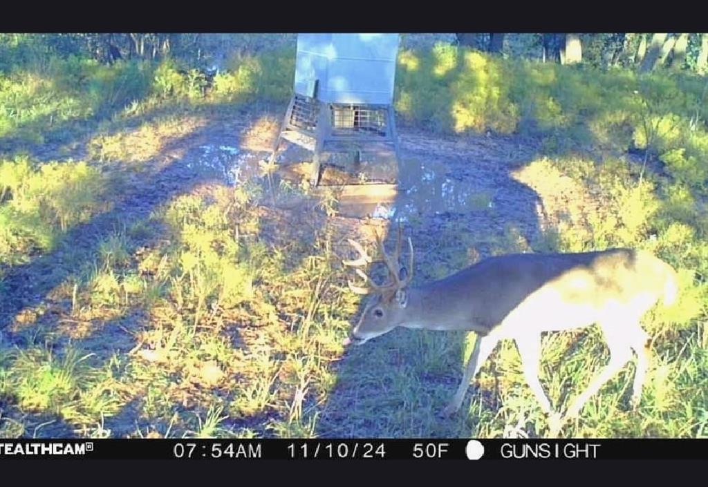 154 County Road 154 Cisco, TX 76437 - Photo 7 of 40 a view of a floor to ceiling window with a garden