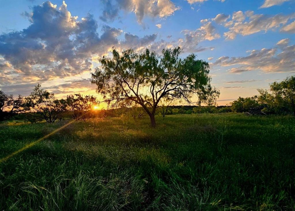 154 County Road 154 Cisco, TX 76437 - Photo 10 of 40 a view of outdoor space and yard