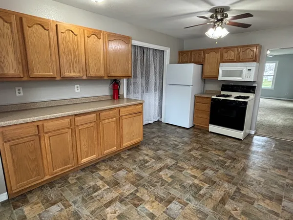 $221,500 | 359 West Orleans Street, Paxton, IL 60957