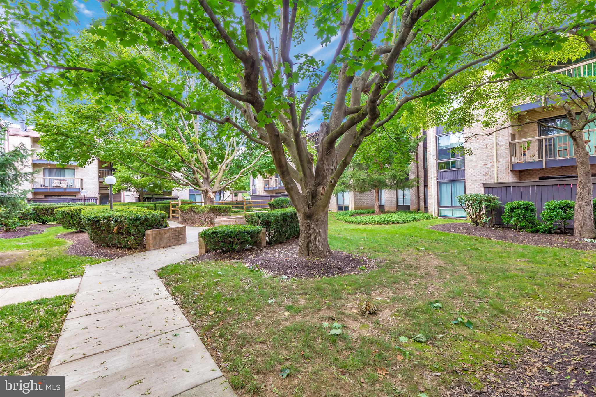 10006 Stedwick Road, Unit 304 Gaithersburg, MD 20886 - Photo 41 of 43 Private Garden Area