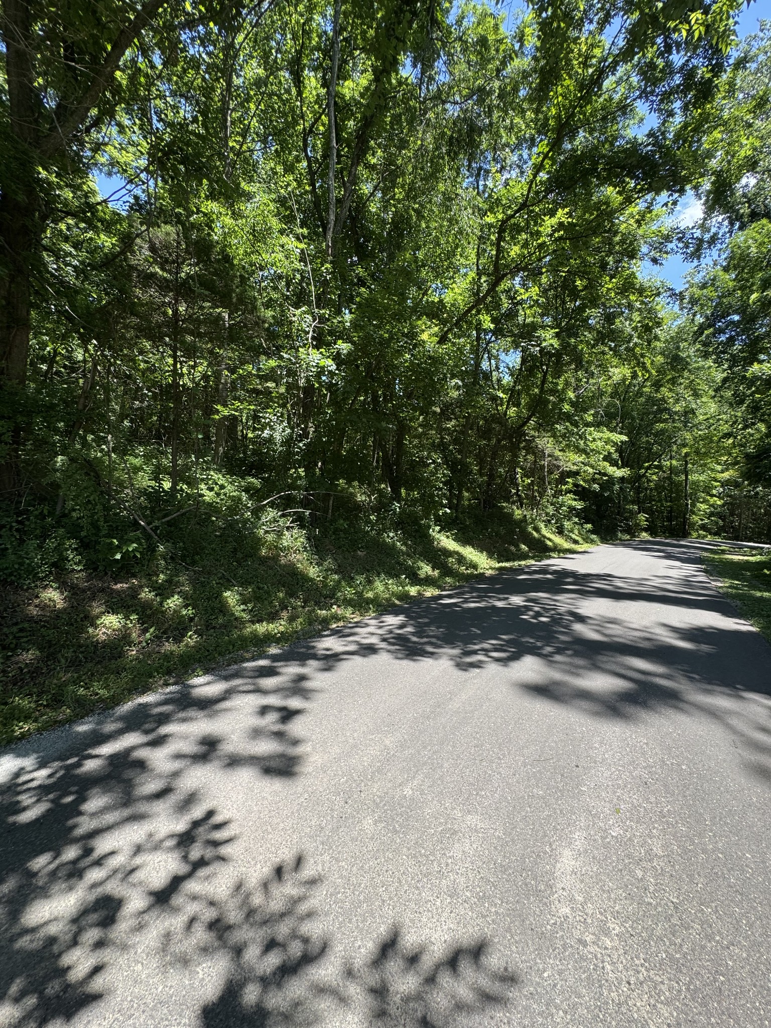 0 Horseshoe Road Cross Plains, TN 37049 - Photo 3 of 11