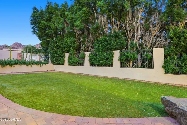 a view of a backyard with potted plants and large trees