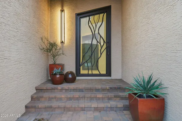a view of a potted plant in front of a door