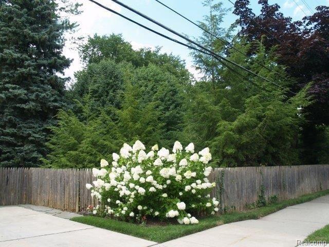 54 Moran Road Grosse Pointe, MI 48236 - Photo 30 of 37 Garden