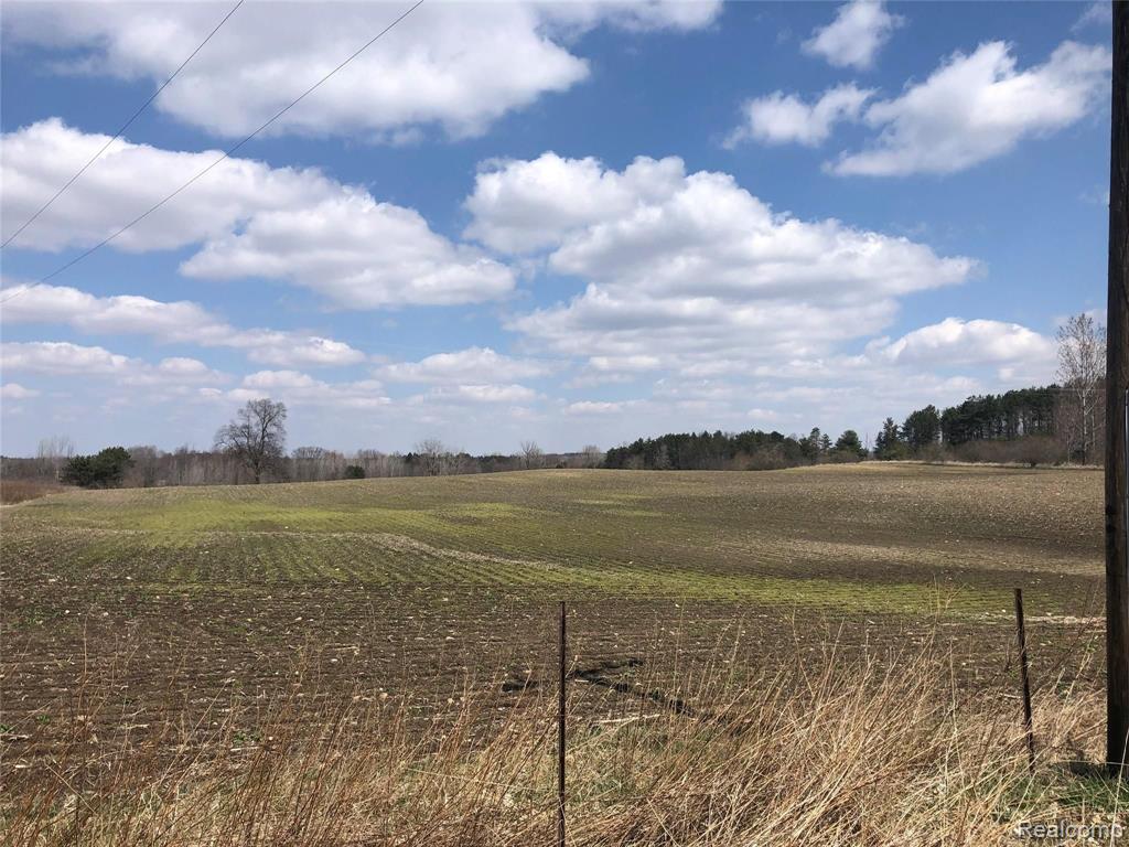 0 Lum Road Attica, MI 48412 - Photo 19 of 24 Gallery Image 19