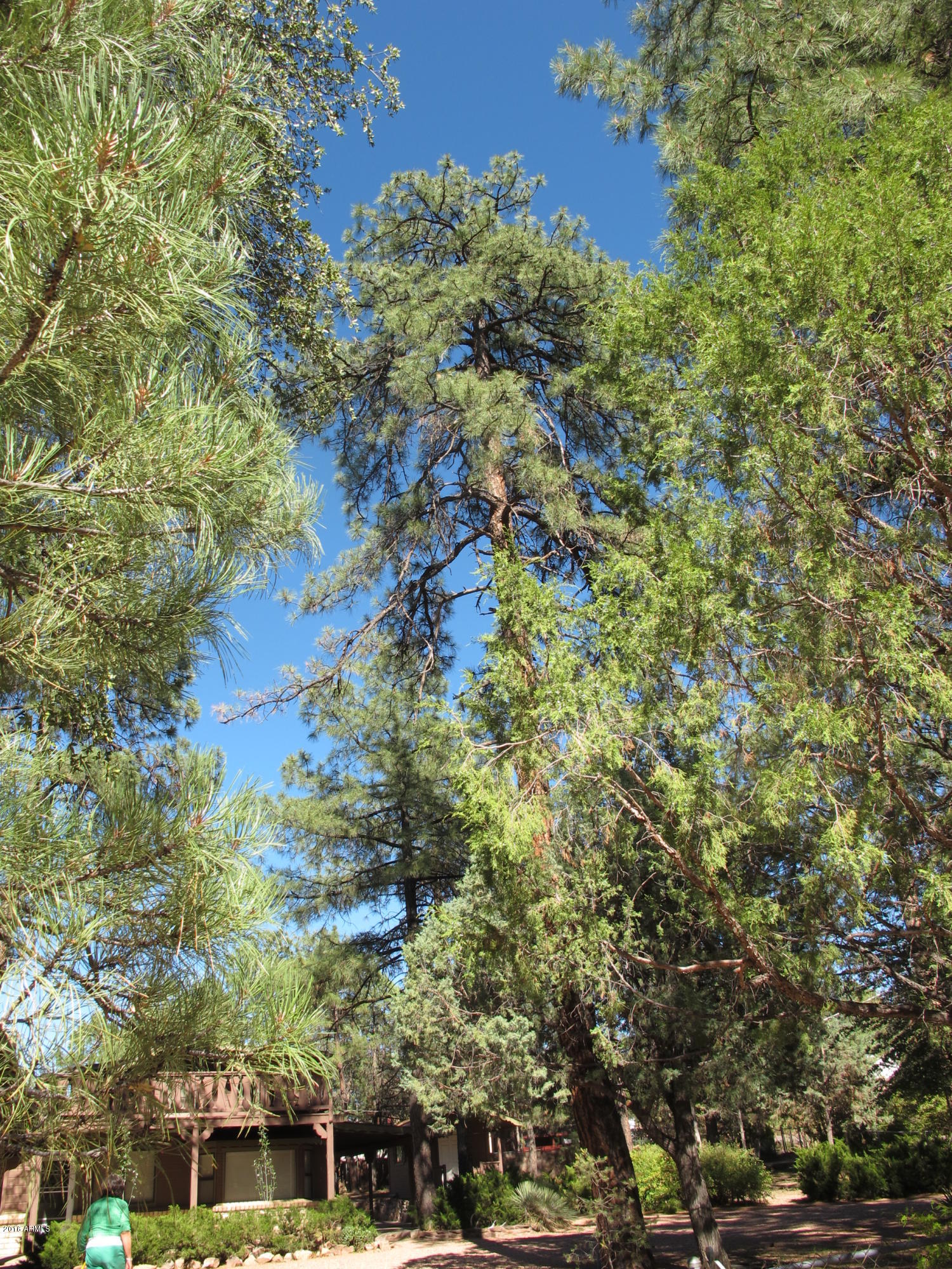 515 North Colcord Road Payson, AZ 85541 - Photo 27 of 34 210