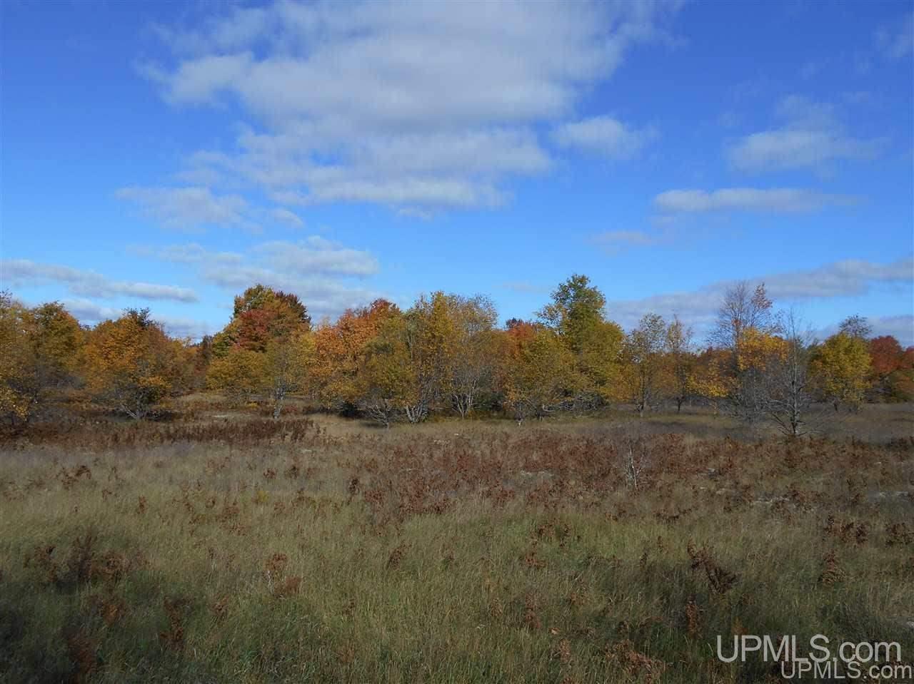 Tbd Tee Lake Road, Unit EAST PARCEL Germfask, MI 49836 - Photo 4 of 10