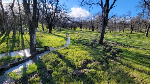 $65,000 | Lot 42 Quail Ridge Road, Cottonwood, CA 96022